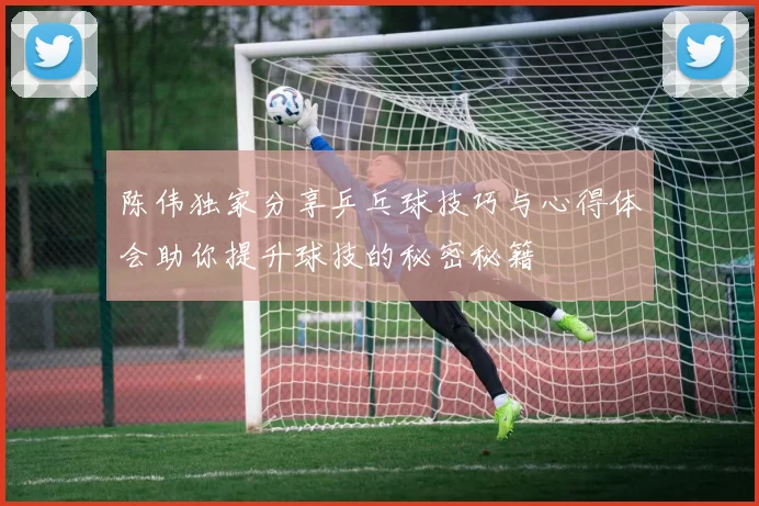 陈伟独家分享乒乓球技巧与心得体会助你提升球技的秘密秘籍